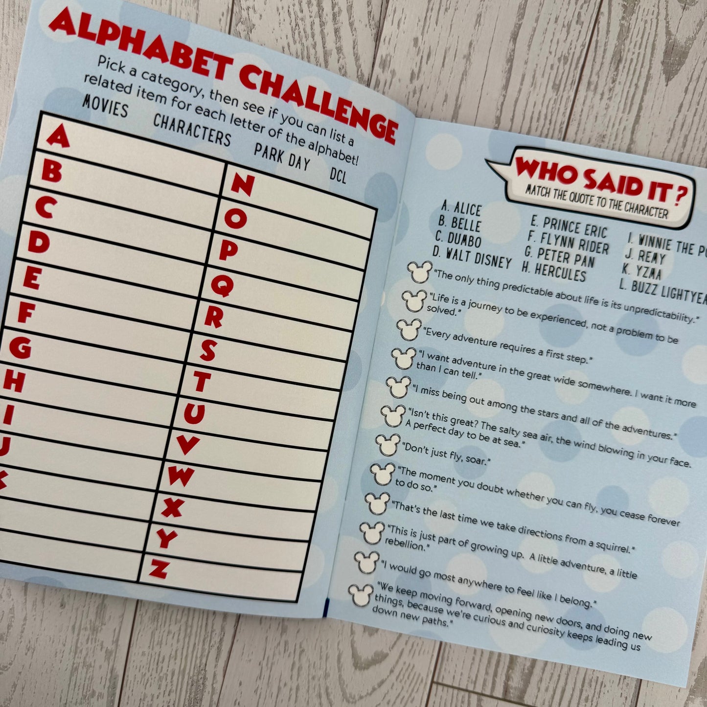 DCL Activity & Memory Book