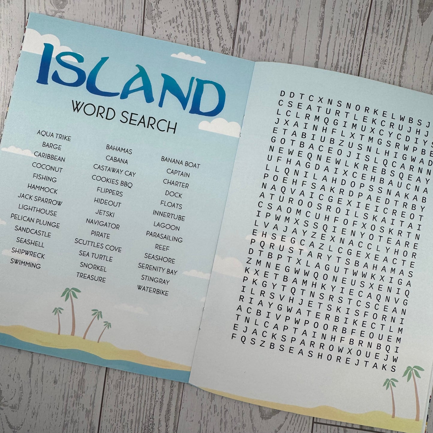 DCL Activity & Memory Book