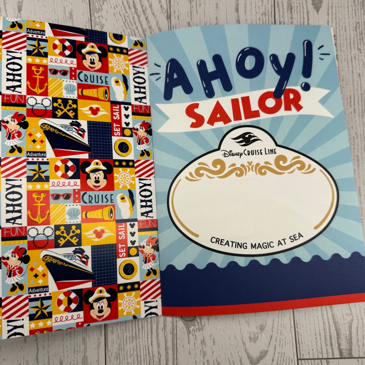 DCL Activity & Memory Book