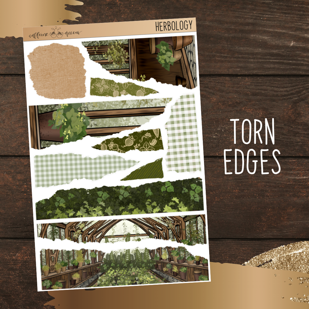 Herbology | Journal Deco